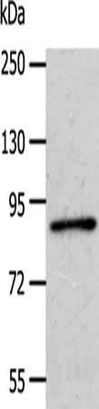 APPL1