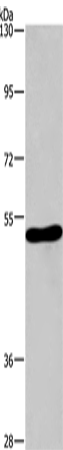 CHRM1