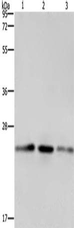 EMC8