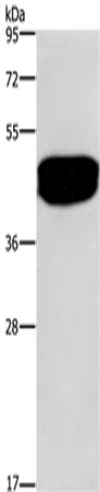 ENTR1