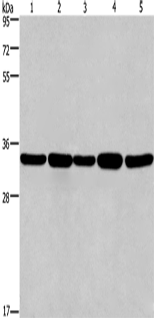E2F6
