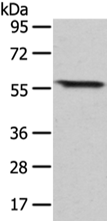 GRB14
