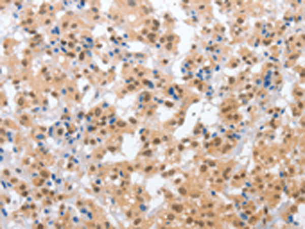 CPSF4