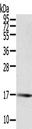 PTPMT1