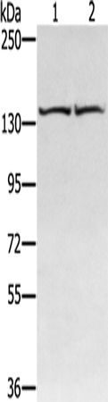 RGS22