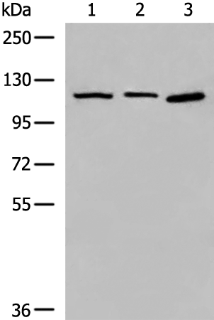 CORO7
