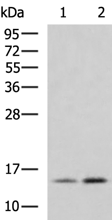 H4C1