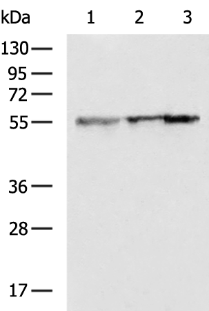 CYP51A1