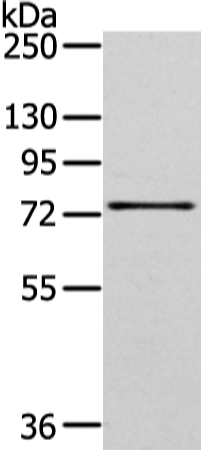 GHR