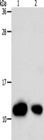 TXN