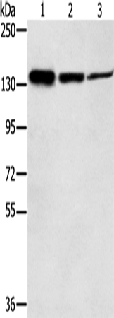 SMC2