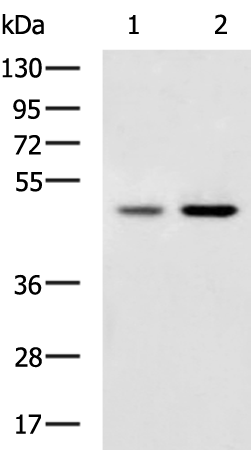 TNFRSF10A