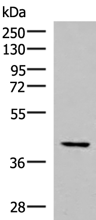 IST1