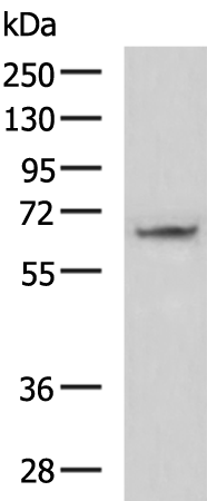 ME3