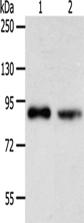 APPL1