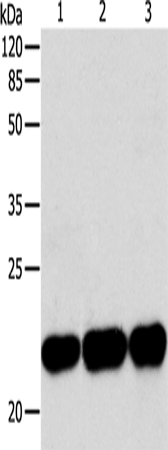 BID