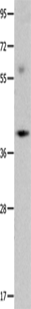 OPCML