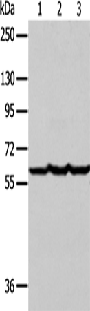 F9