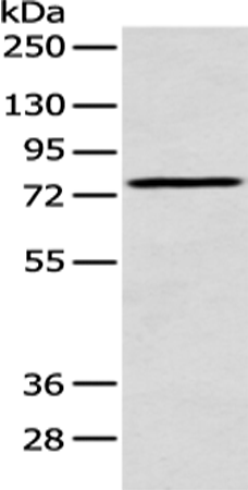 ACSM5