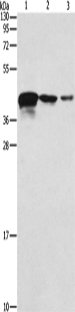TWF2