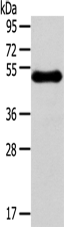 RHCE
