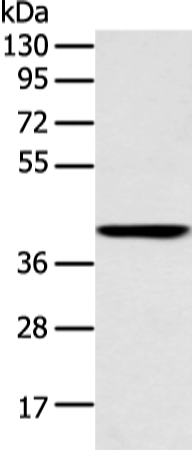 E2F1