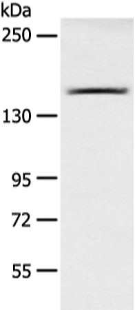 AGL