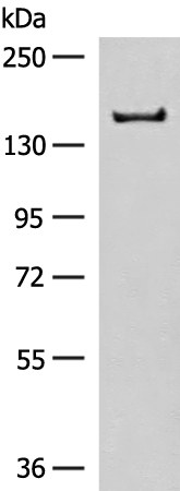 ADGRF5