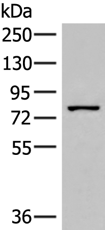HPS6