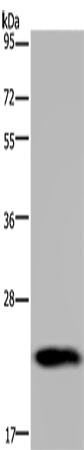 GH2