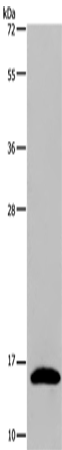 REG3G