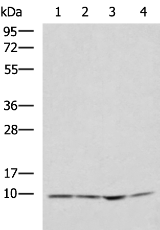 NDUFA1