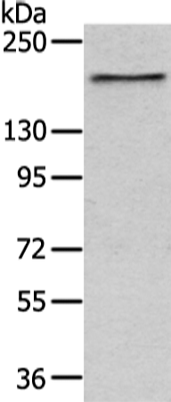 USP47