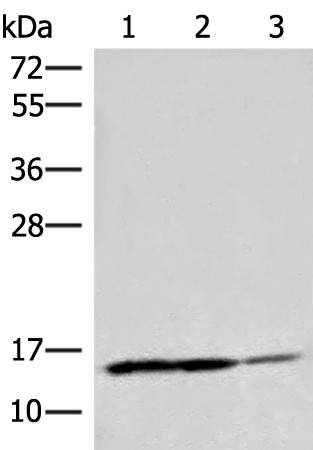 H3-3B