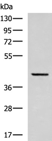 RIC3