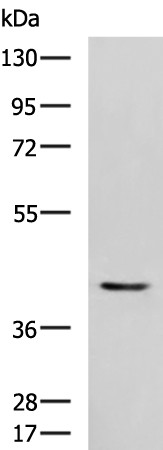 STK32A