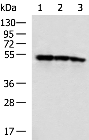 SIL1