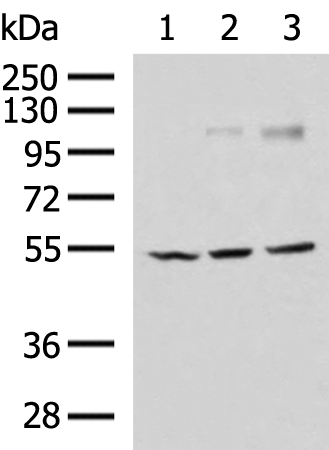 CHRNA1