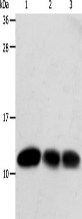 TXN