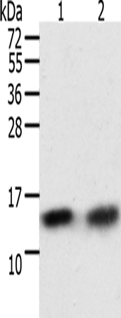 TXN