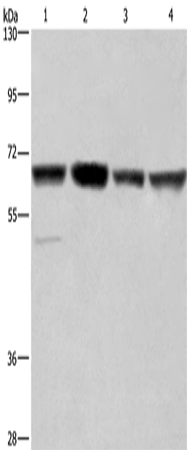 GLYR1