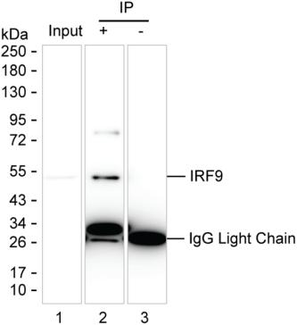 IRF9