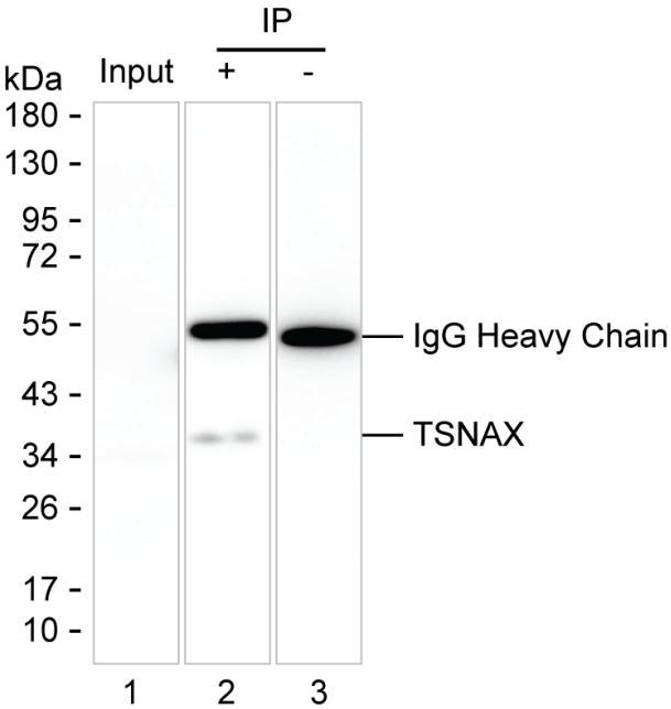 TSNAX