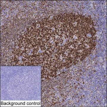 Mouse Monoclonal Antibody to IRAG2