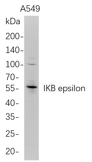 IKB epsilon