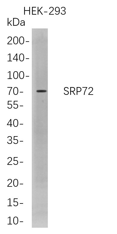 SRP72