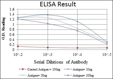 ERK3