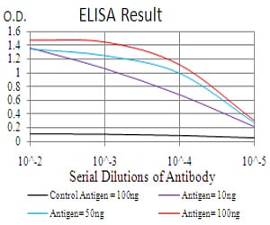 ERCC1