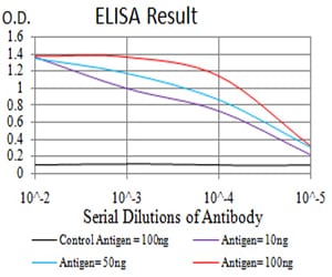 NS1