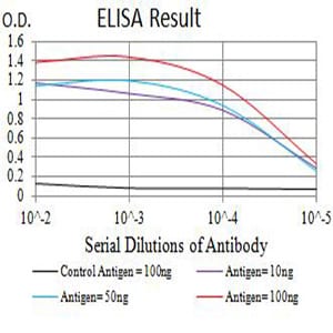 CD1B